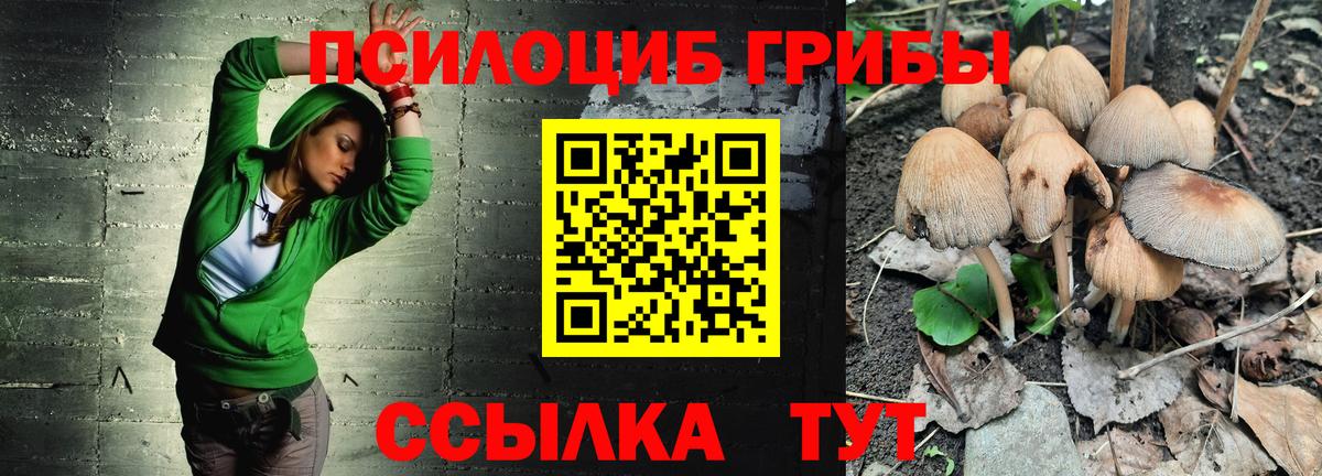 Галлюциногенные грибы Cubensis Протвино