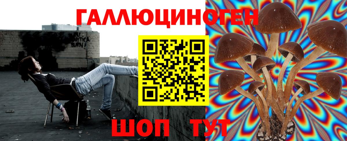 Протвино  Галлюциногенные грибы ЛСД  Вход с VPN 